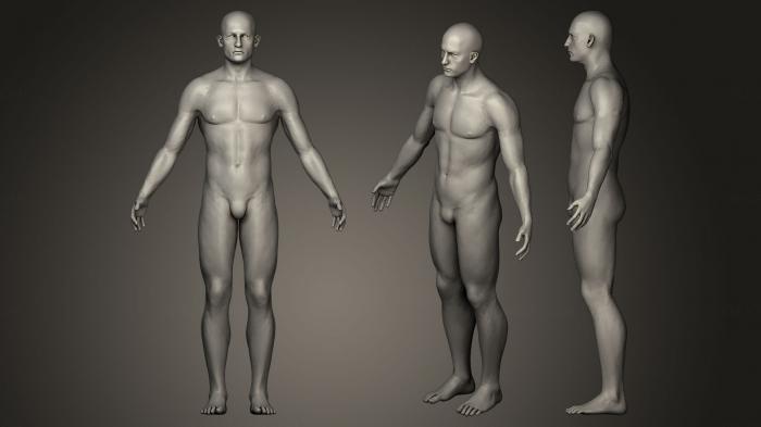 نموذج ثلاثي الأبعاد لآلة CNC تماثيل الناس تشريح الذكور البشري